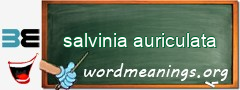 WordMeaning blackboard for salvinia auriculata